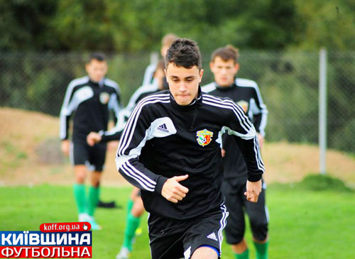 Кругляк-молодший на Житомирщині